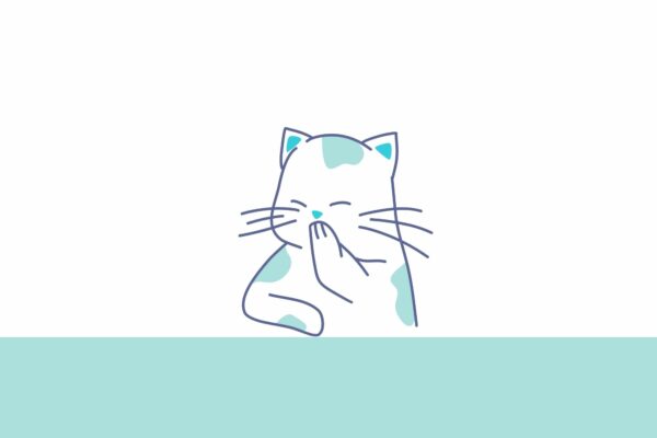 gato riéndose