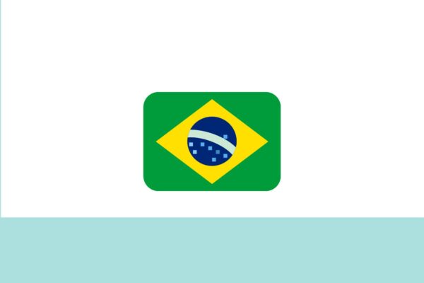 bandera de Brasil para la entevista sobre lengua española en Brasil