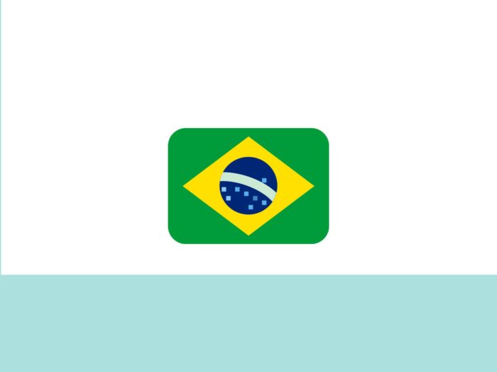 bandera de Brasil para la entevista sobre lengua española en Brasil