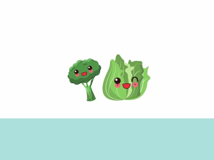dibujo de una lechuga y brocoli