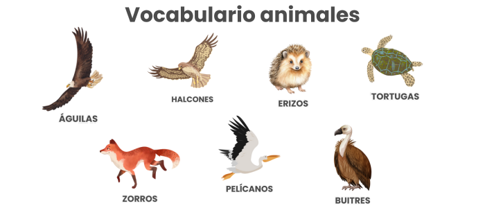 Una imagen con los siguientes animales: águila, halcón, erizo, tortuga, zorro, pelícano, buitre.